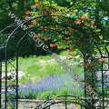 Outdoor Metal Garden Rose Arch/Garden Flower Decorative